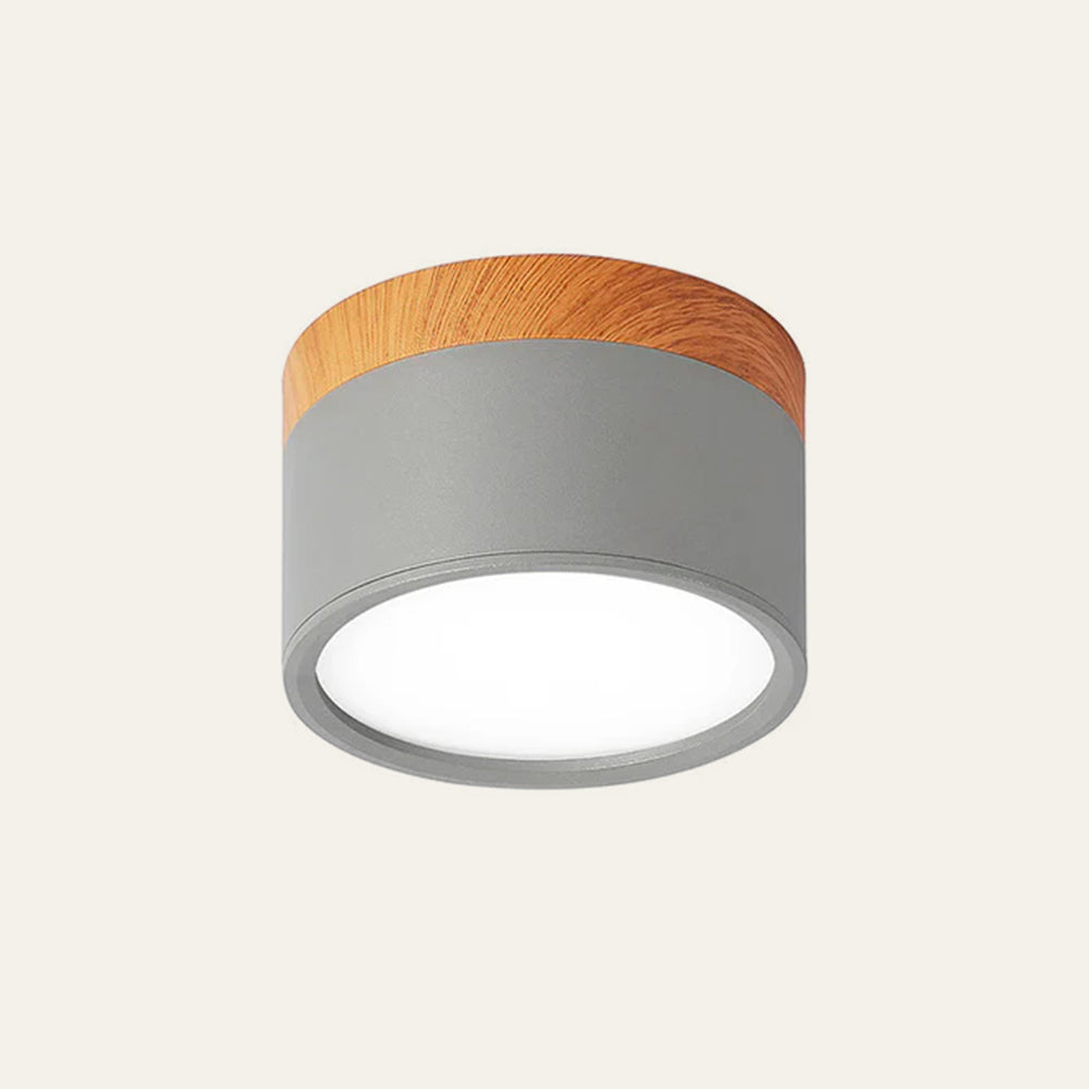 Cilindrische LED Plafondlamp