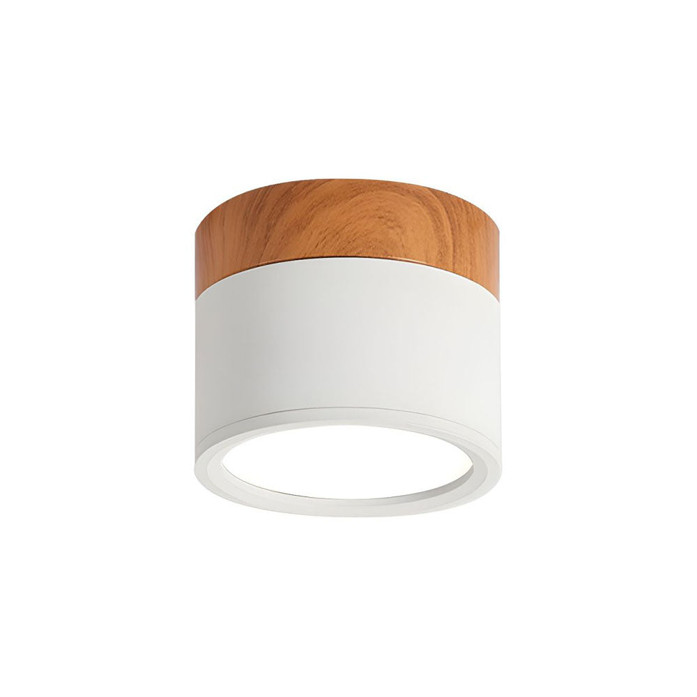 Cilindrische LED Plafondlamp