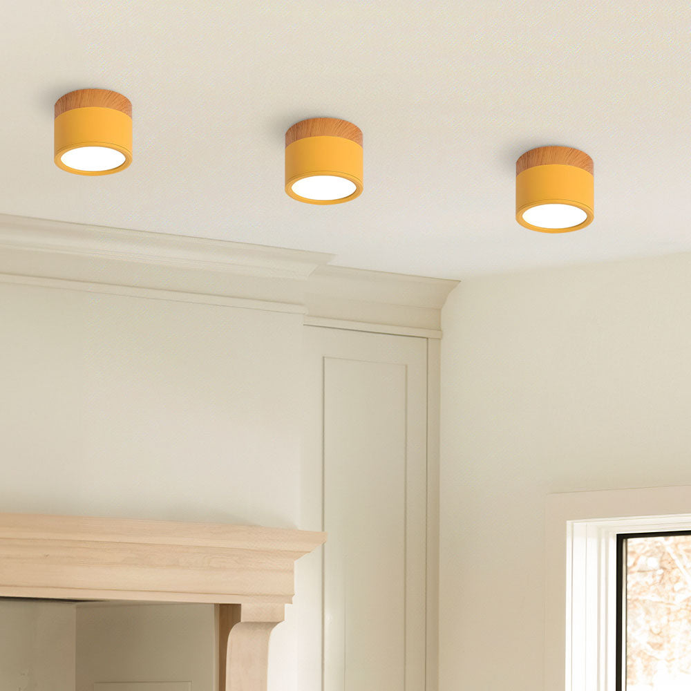 Cilindrische LED Plafondlamp