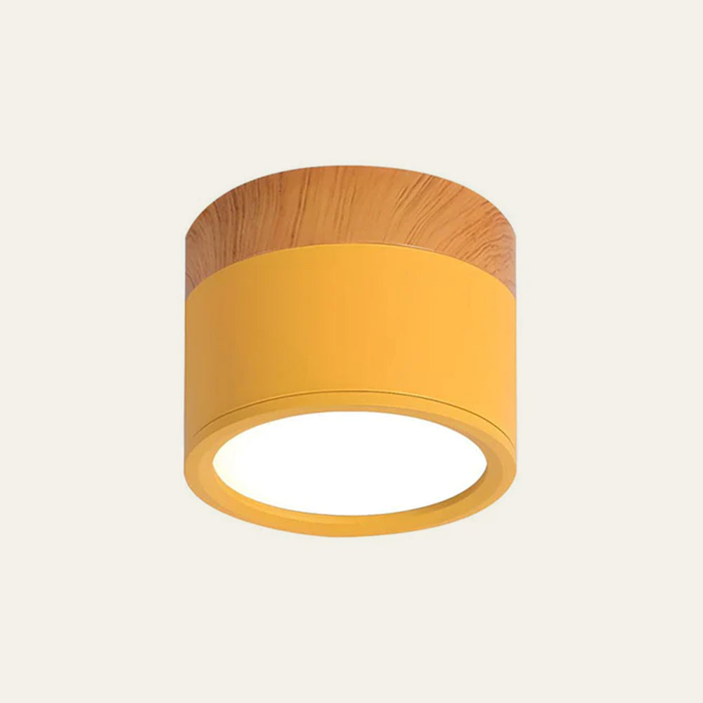 Cilindrische LED Plafondlamp