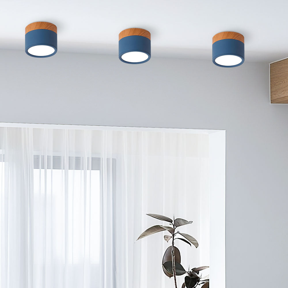 Cilindrische LED Plafondlamp
