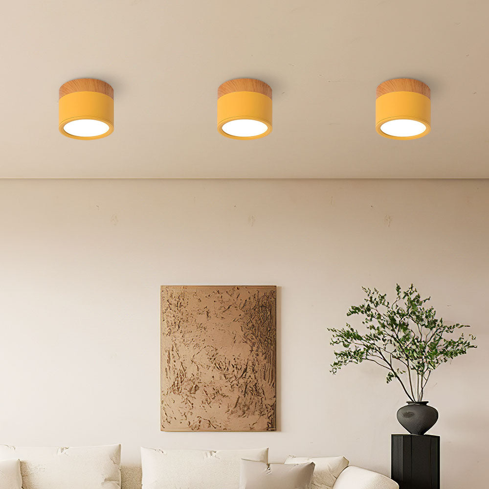 Cilindrische LED Plafondlamp