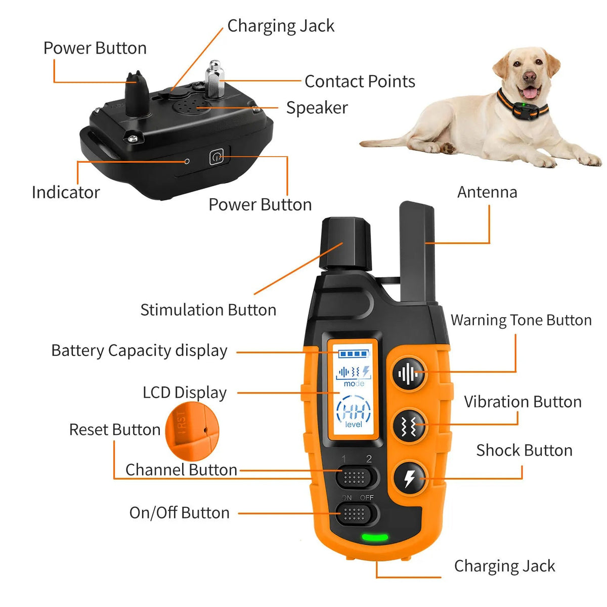 Elektronische Honden Trainingshalsband 1000m