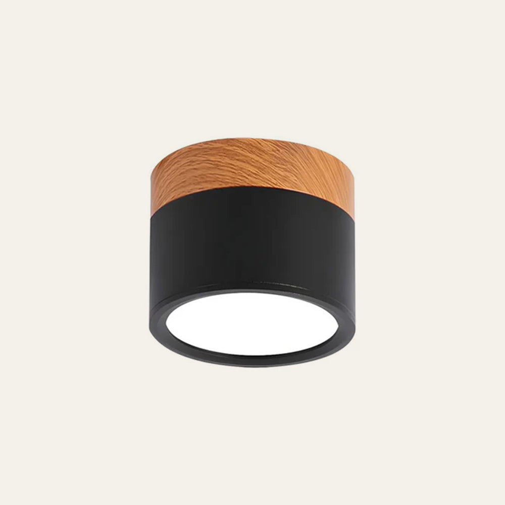 Cilindrische LED Plafondlamp