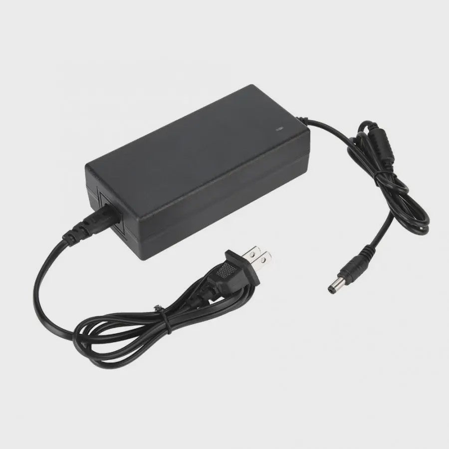 54.6V 2A Snellader voor 48V Li-ion E-bike Batterij