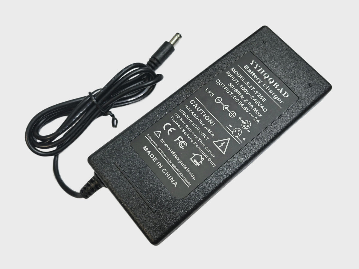 54.6V 2A Snellader voor 48V Li-ion E-bike Batterij