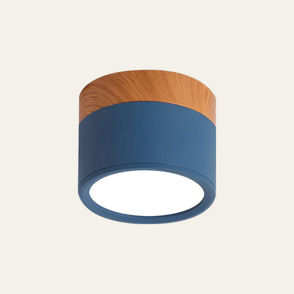 Cilindrische LED Plafondlamp