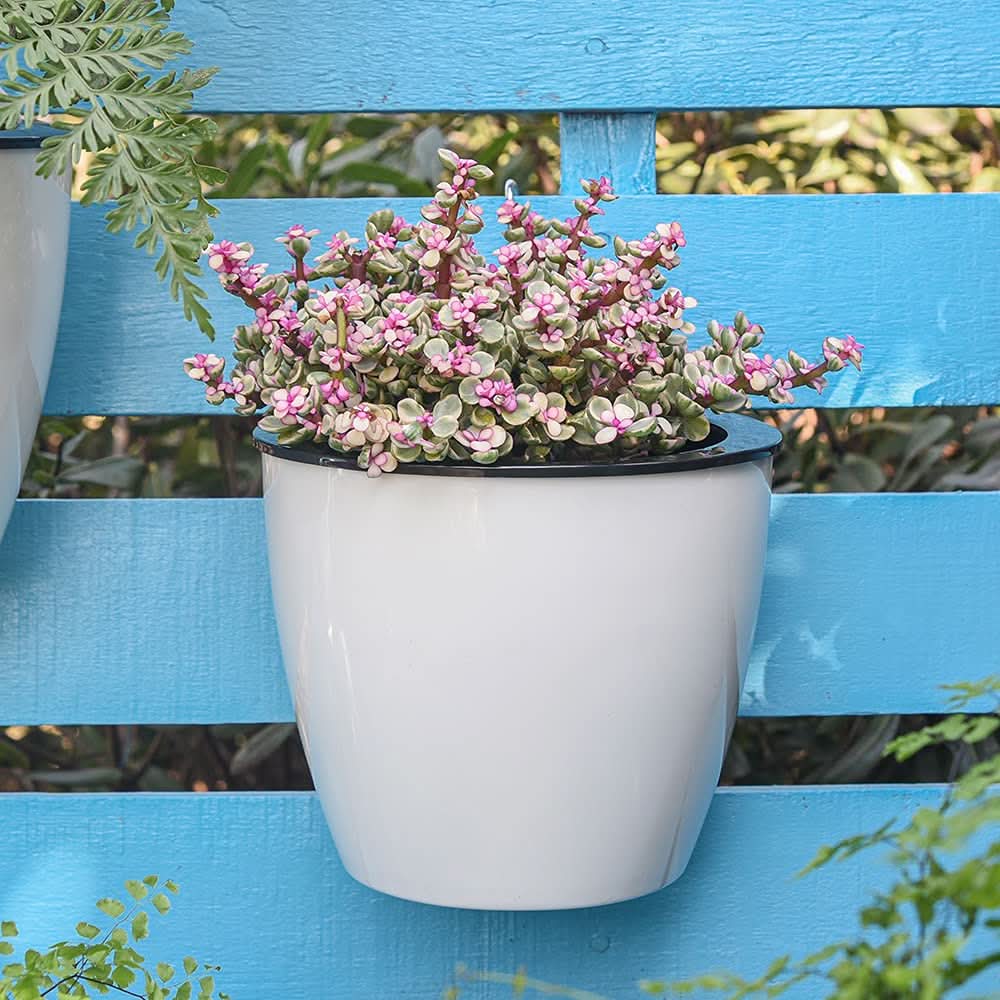 Verticale Zelfbewaterende Bloempot
