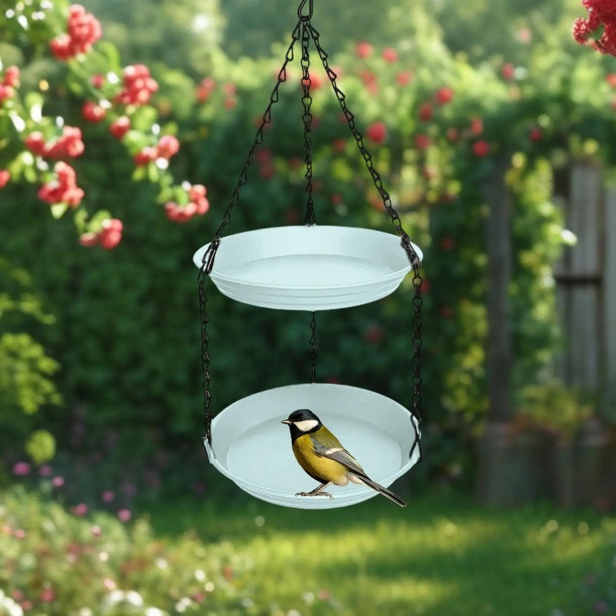 Dubbele Hangende Vogelvoederbak