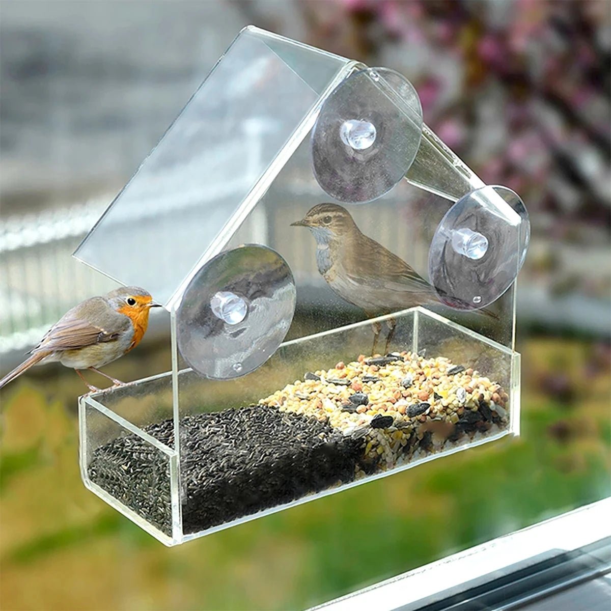 Transparante Raam Vogelvoederbak met Zuignappen