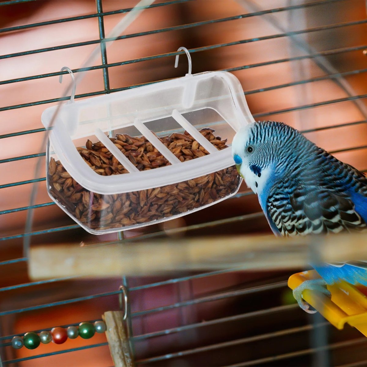 Eco-vriendelijke transparante vogelvoederbak
