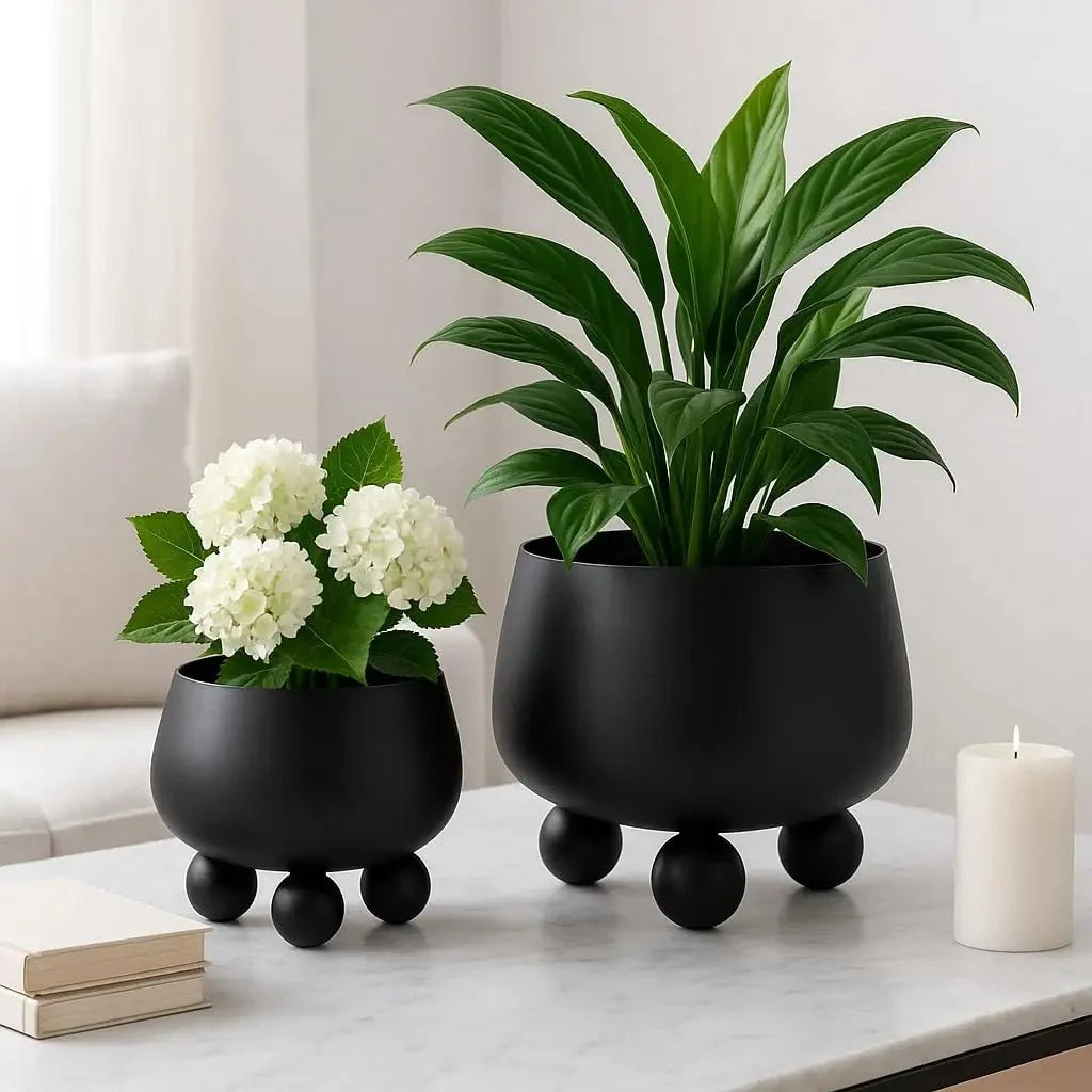 Moderne Plantenbak Voor Binnen En Buiten