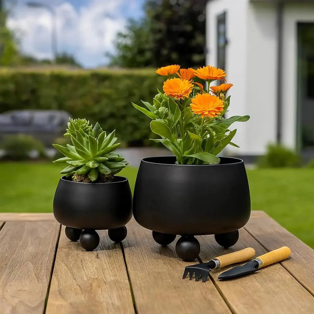 Moderne Plantenbak Voor Binnen En Buiten