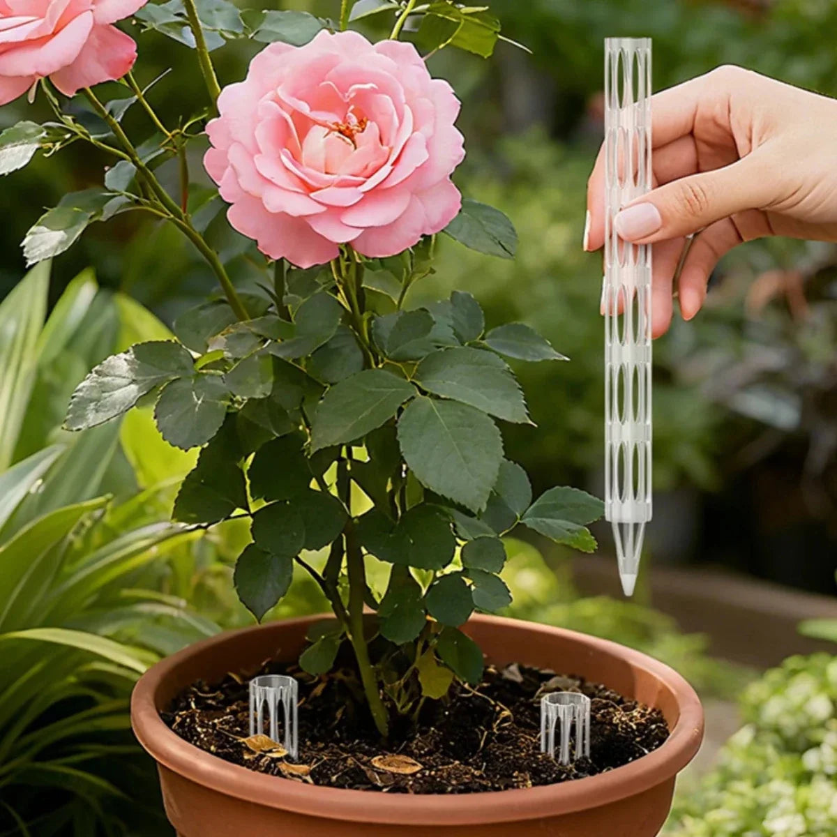 Drainagebuizen voor plantenwortels