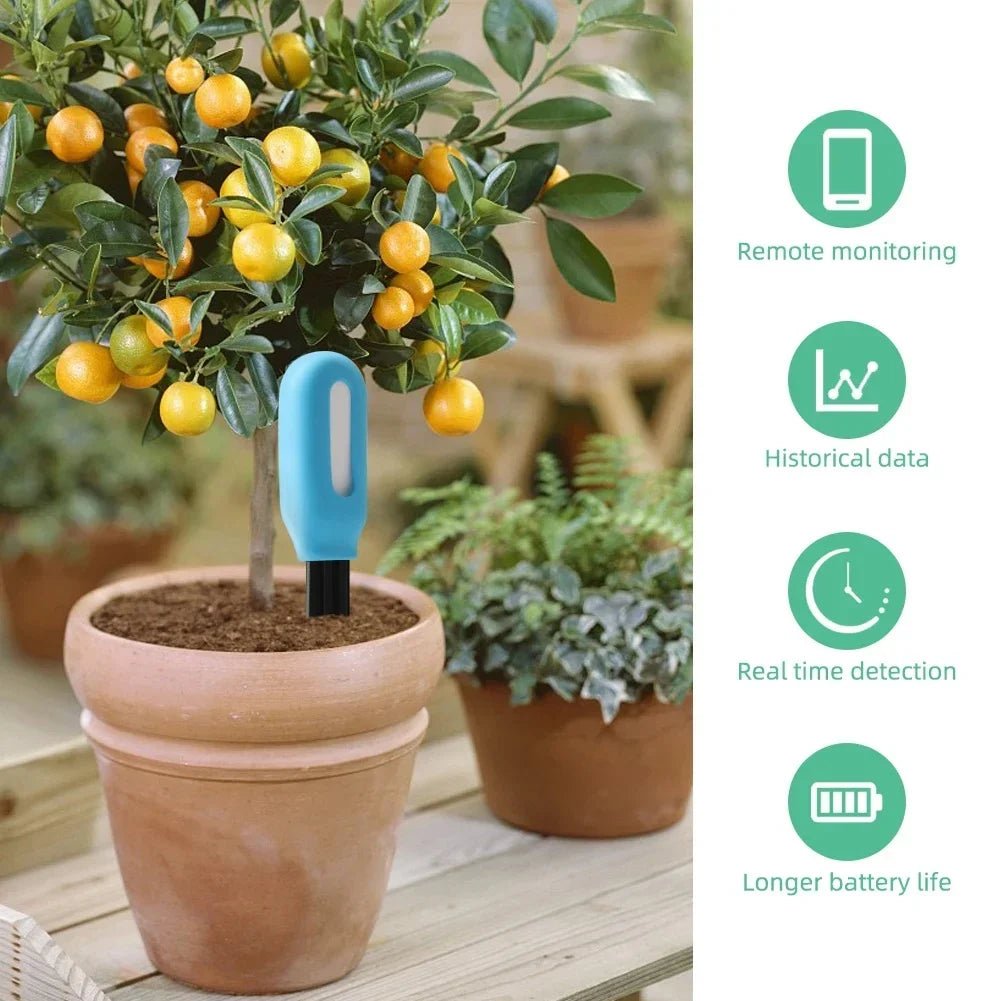 RootLink slimme bodemmeter met realtime monitoring