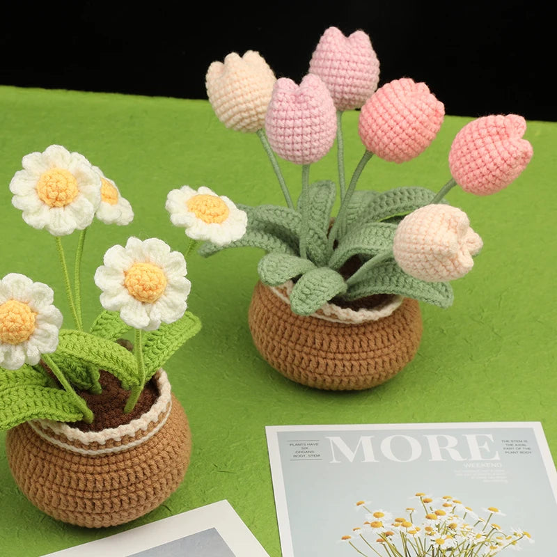DIY Bloemen Haakset voor Beginners