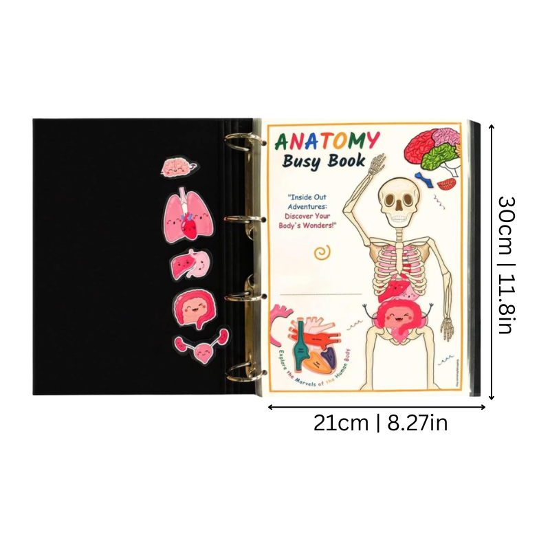 BodyQuest interactief anatomie leerboek