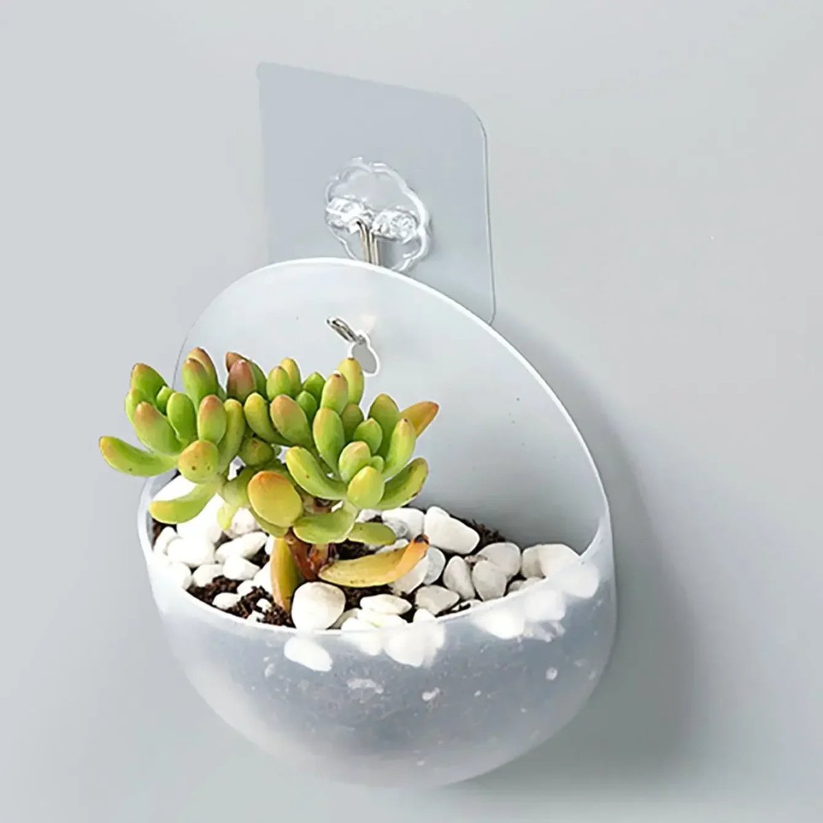 FLOWWALL Hydroponische Wandplantenbak