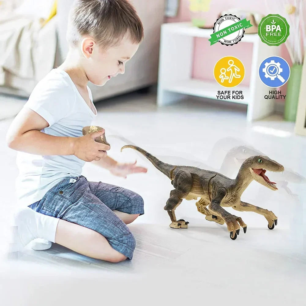 Radiografisch Bestuurbare Dinosaurus Velociraptor