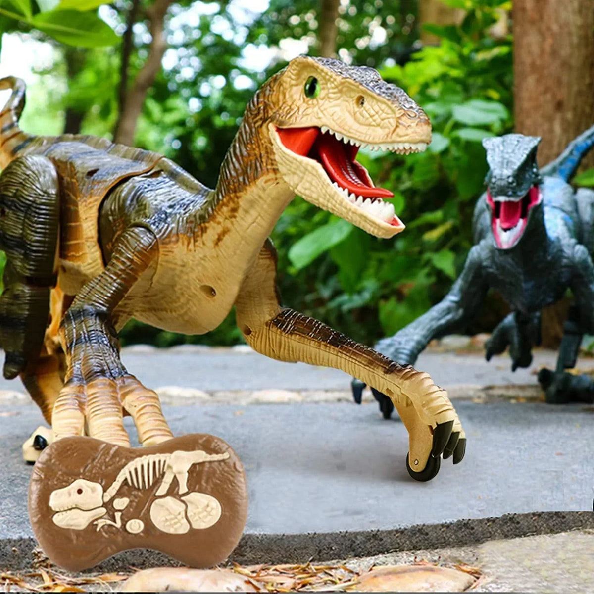 Radiografisch Bestuurbare Dinosaurus Velociraptor