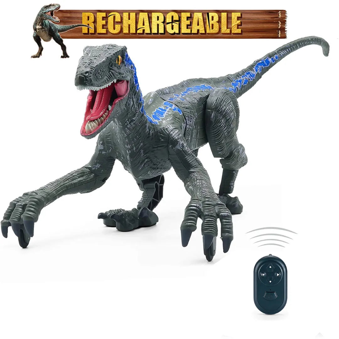 Radiografisch Bestuurbare Dinosaurus Velociraptor