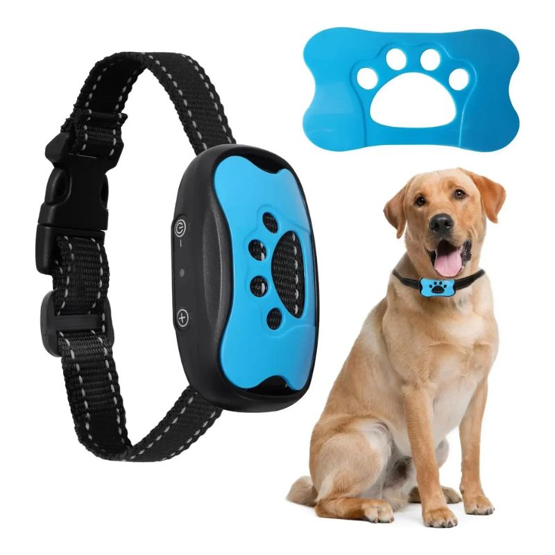 Anti-blafband voor Honden