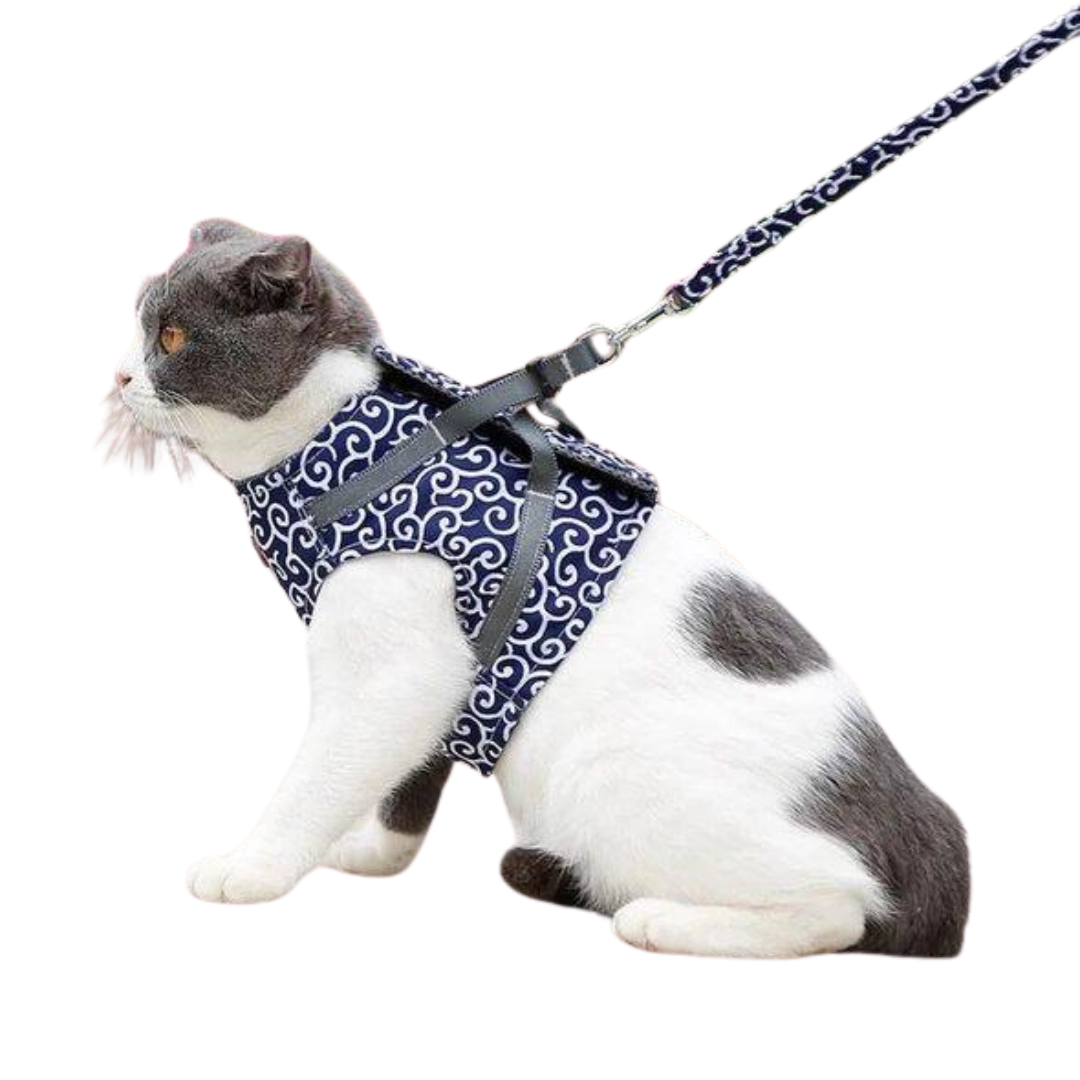 Anti-Breakout Kattenharnas Met Lijn