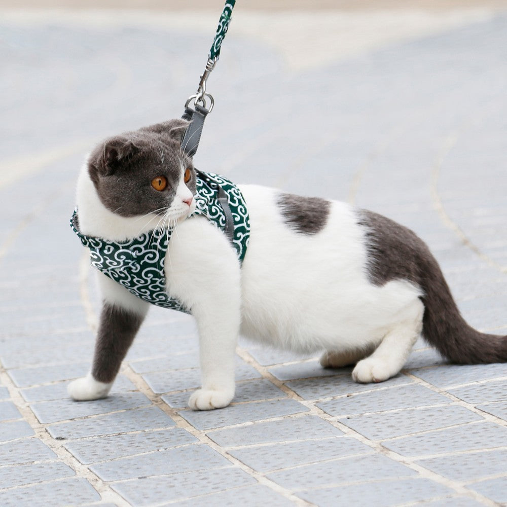 Anti-Breakout Kattenharnas Met Lijn