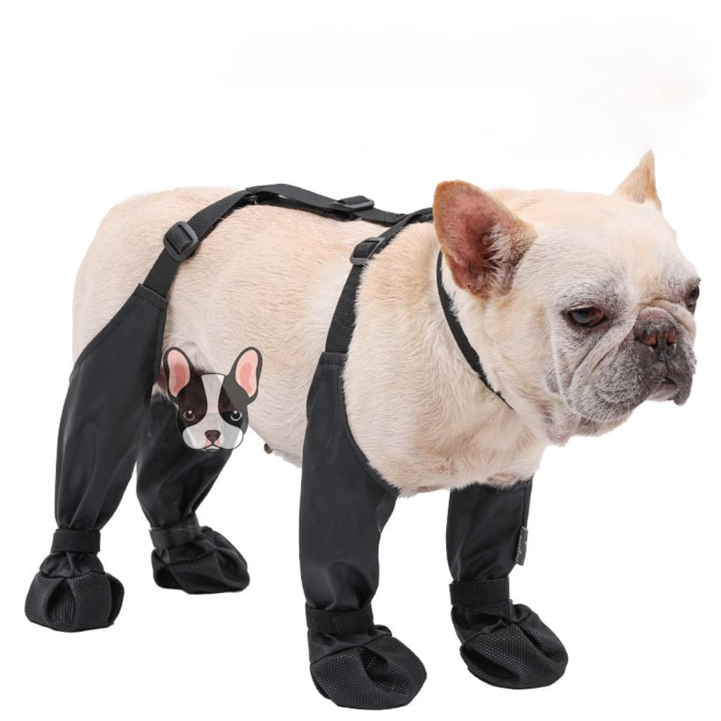 Weerbestendige Hondenschoenen