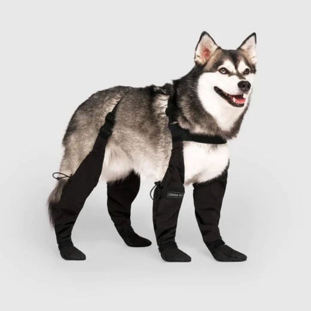 Weerbestendige Hondenschoenen