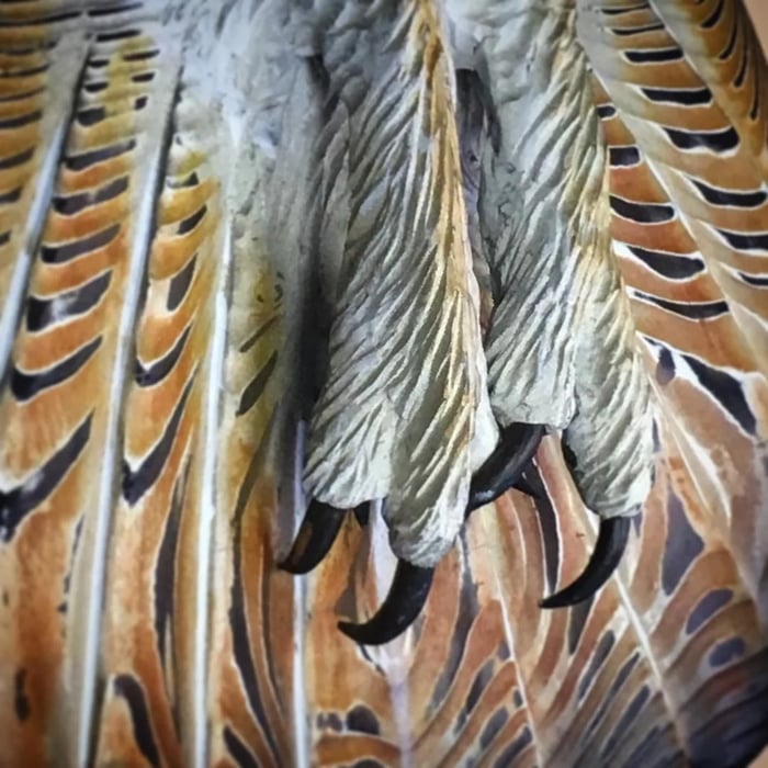 Majestueus Houten Wanddecoratie Uil