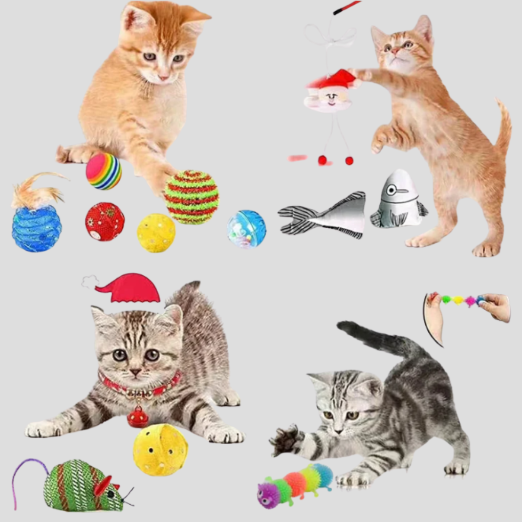 Kat Speelgoed Adventskalender 24 Dagen