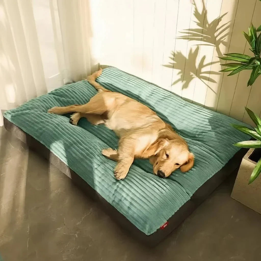 Orthopedisch Pluche Hondenbed