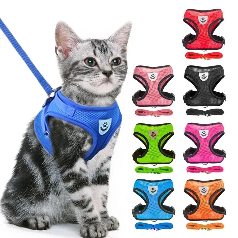 Verstelbaar Kattenharnas Met Riem