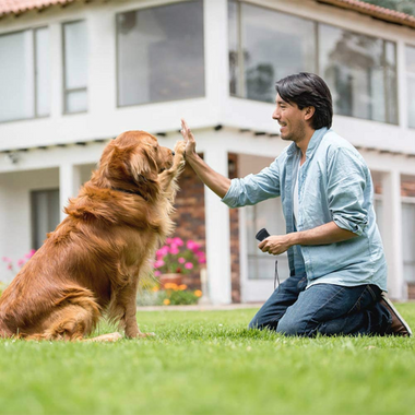 Ultrasoon Hond Trainingsapparaat