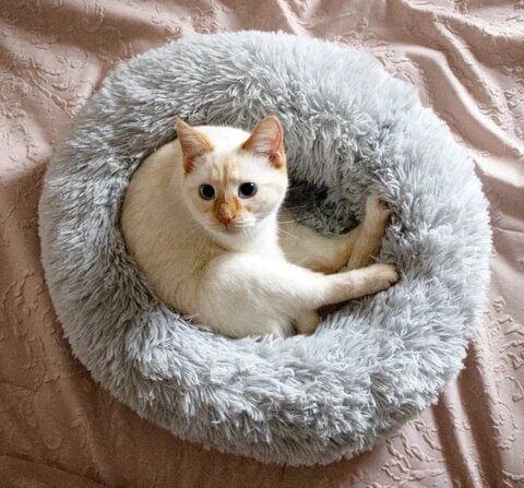Daisy kalmerend huisdierenbed