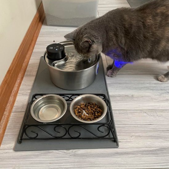 Draadloze Kattenwaterfontein