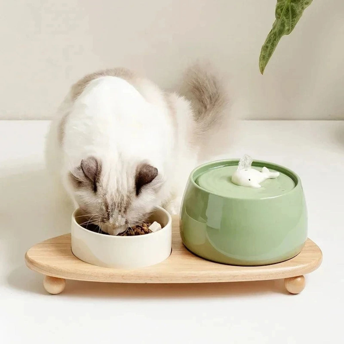 Keramische drinkfontein voor katten