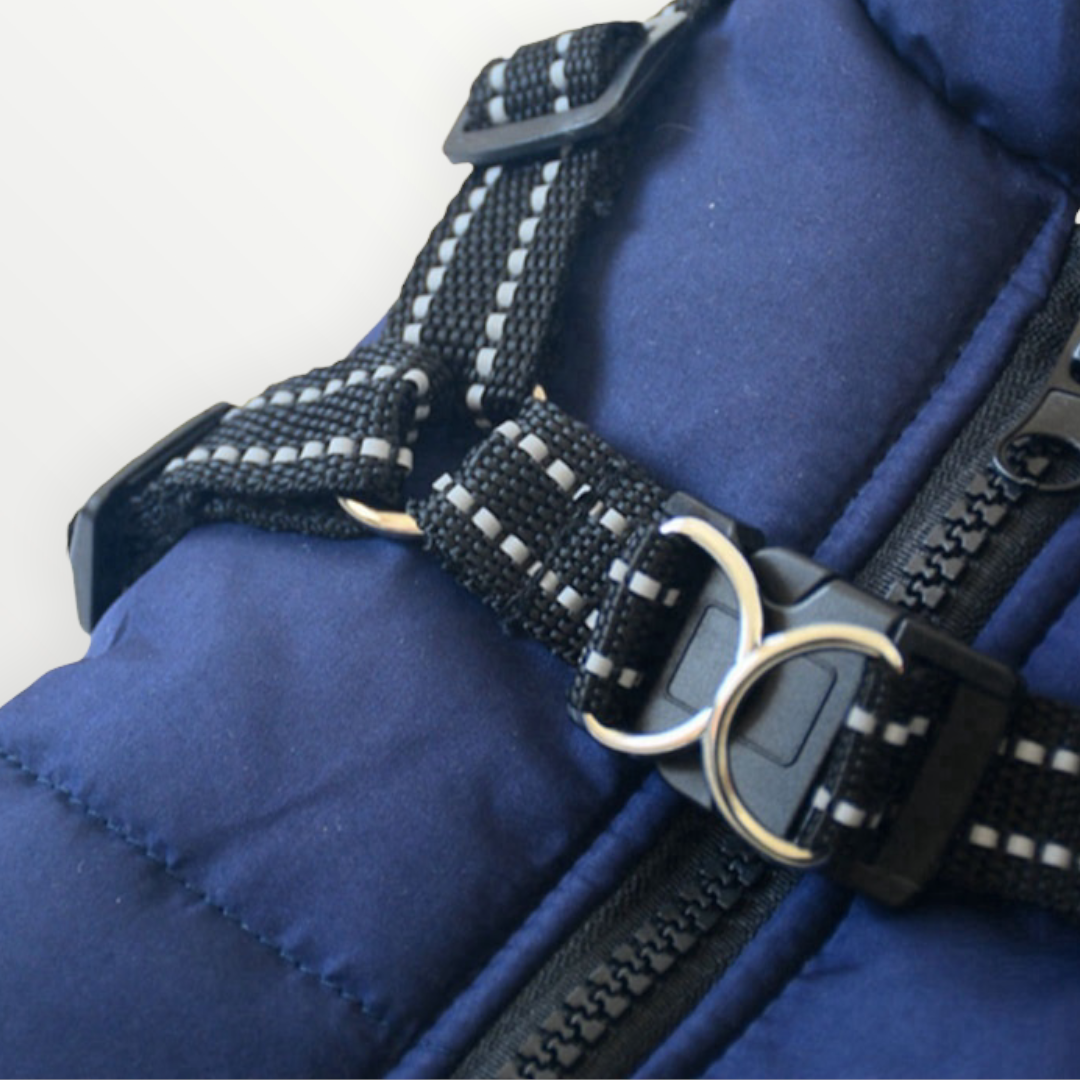 PawShield 3-in-1 Hondenjas