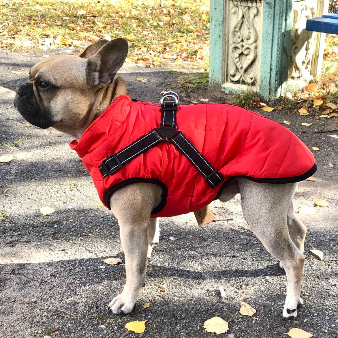 PawShield 3-in-1 Hondenjas