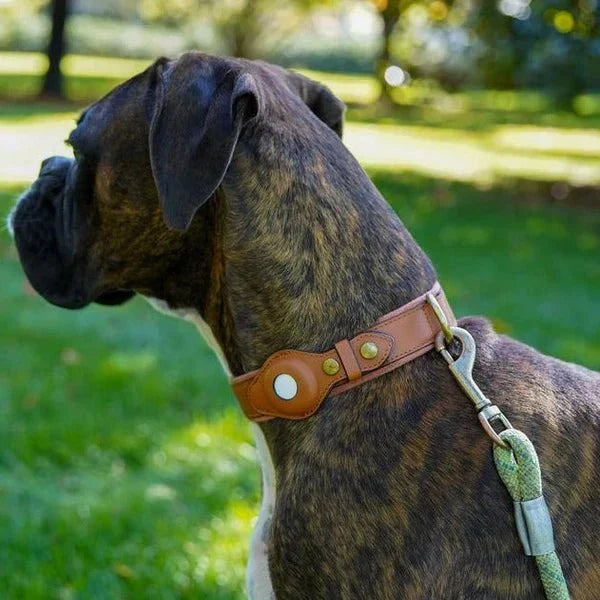Premium AirTag hondenhalsband