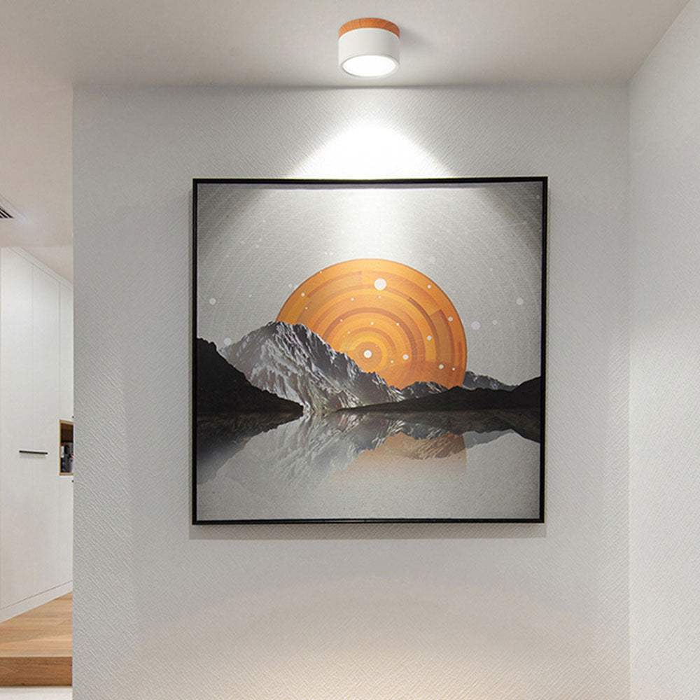 Cilindrische LED Plafondlamp