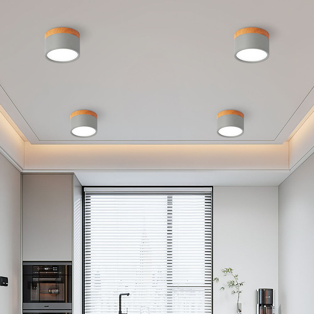 Cilindrische LED Plafondlamp