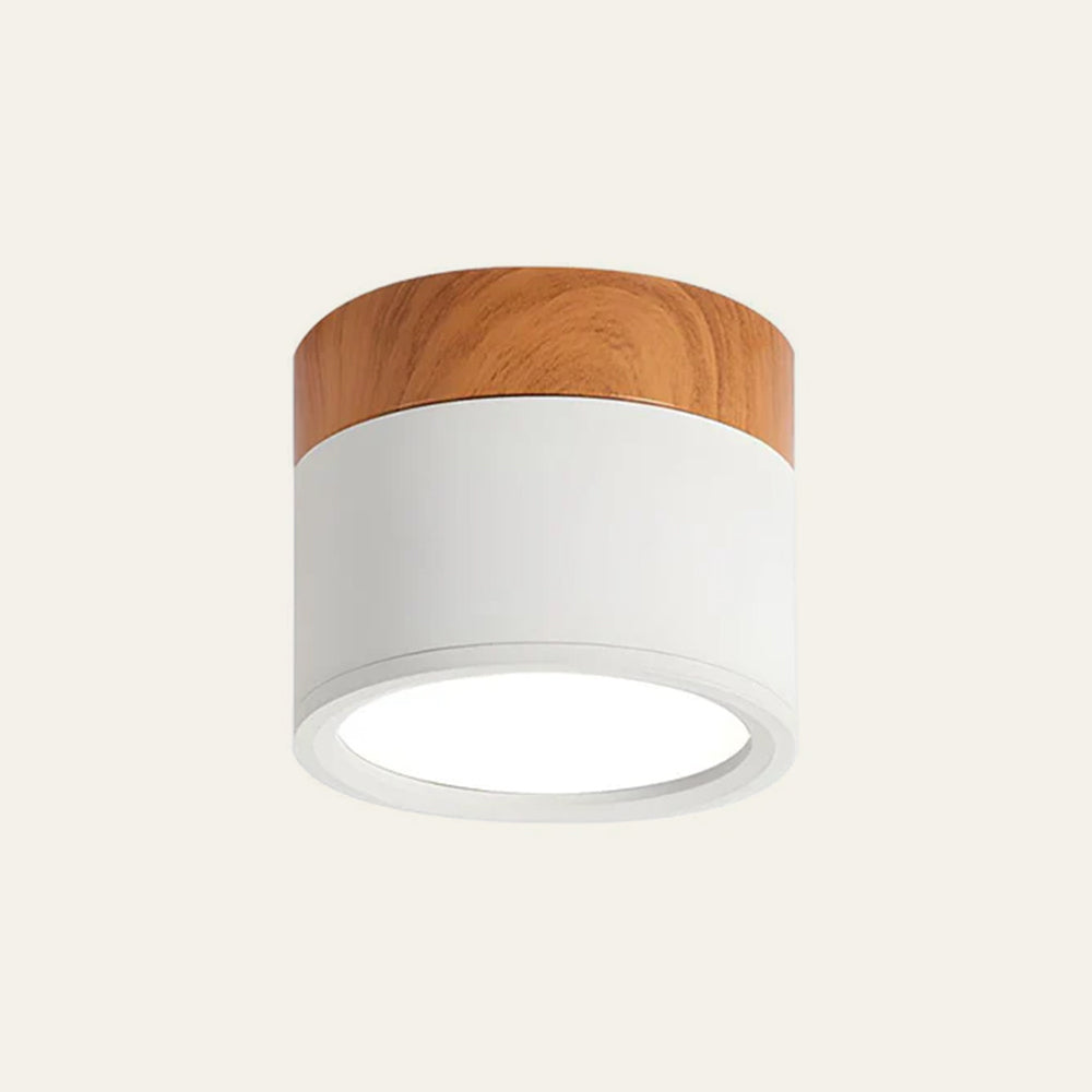 Cilindrische LED Plafondlamp