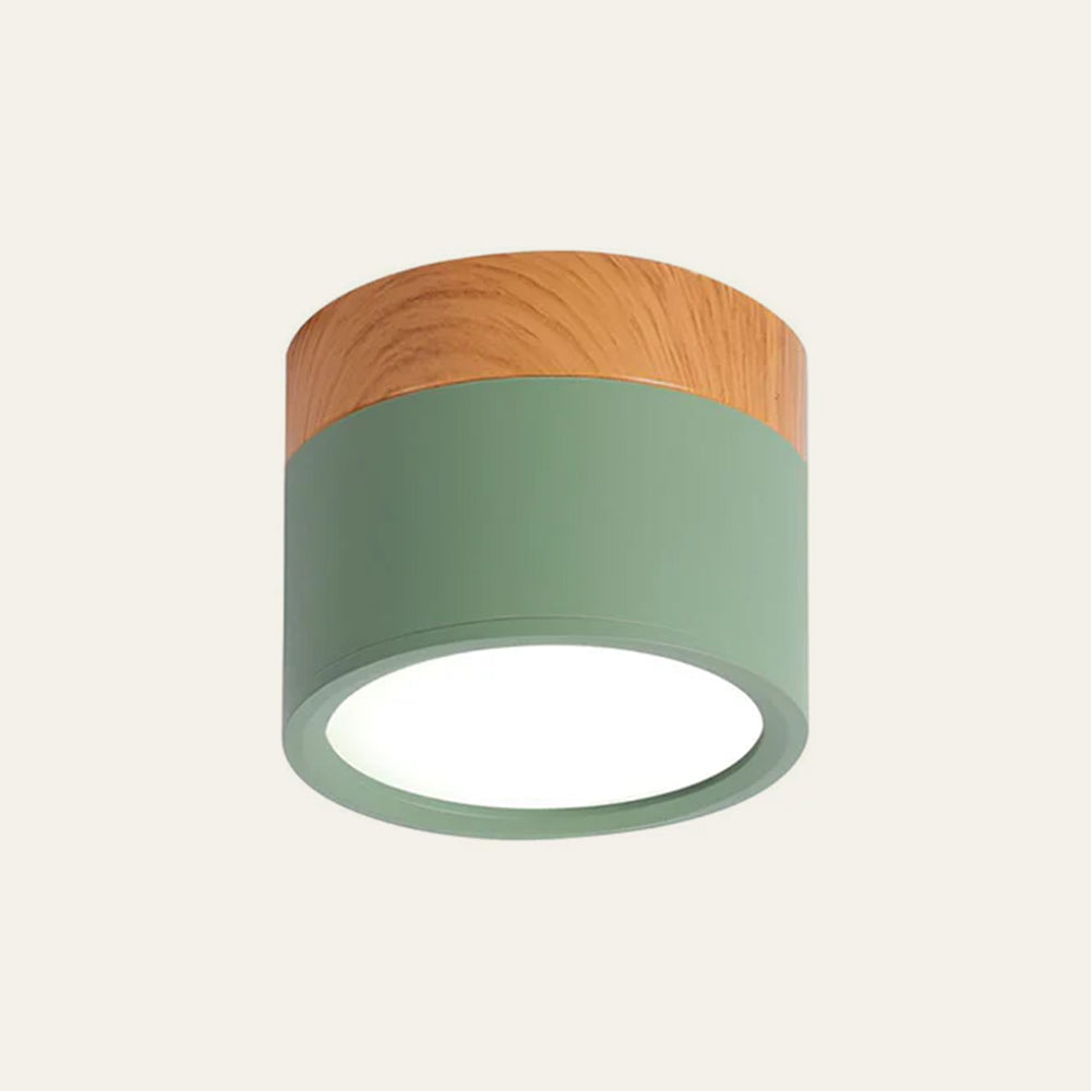 Cilindrische LED Plafondlamp