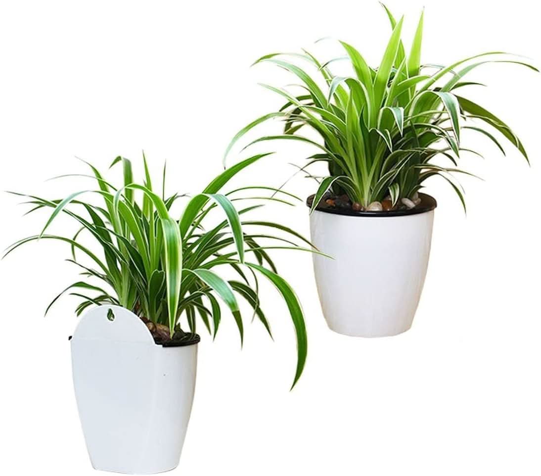 Verticale Zelfbewaterende Bloempot
