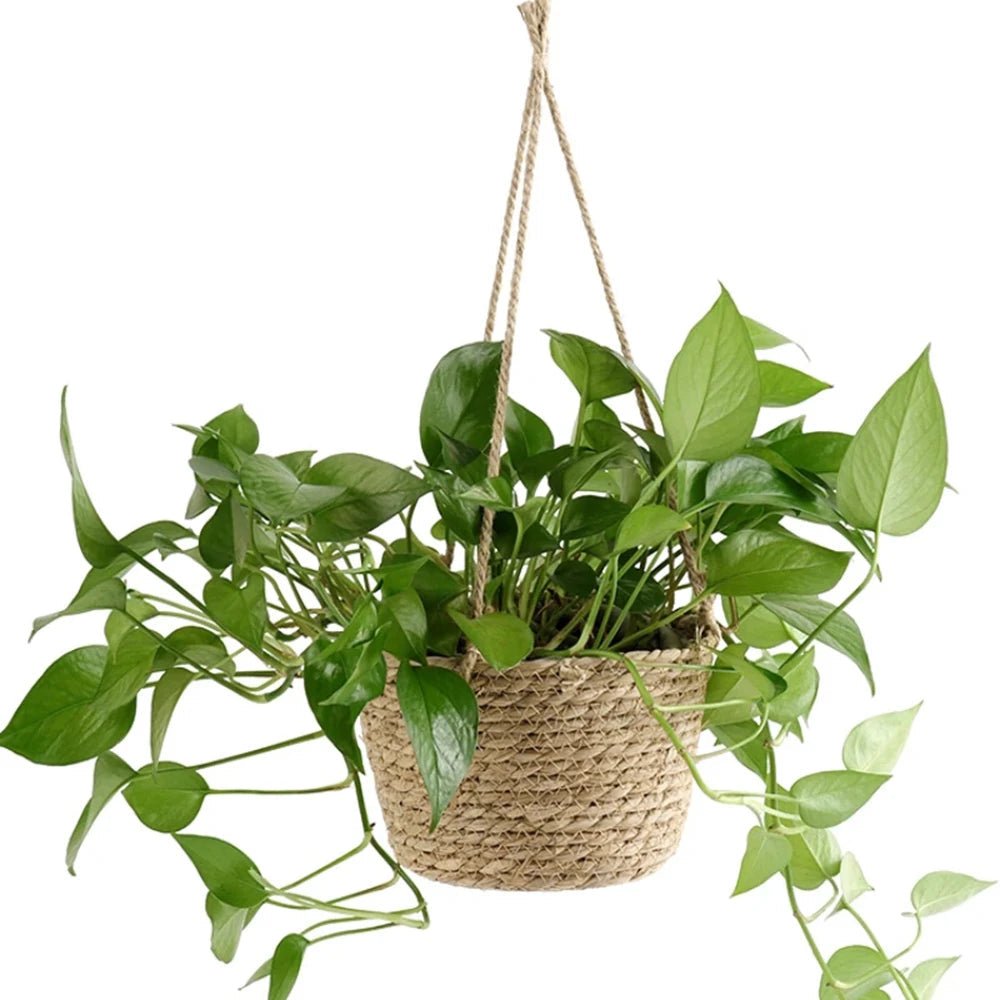 Handgeknoopte Macramé Plantenhanger