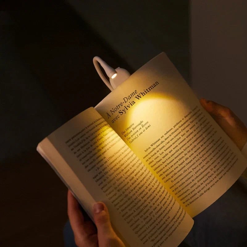 Oplaadbare leeslamp met accu