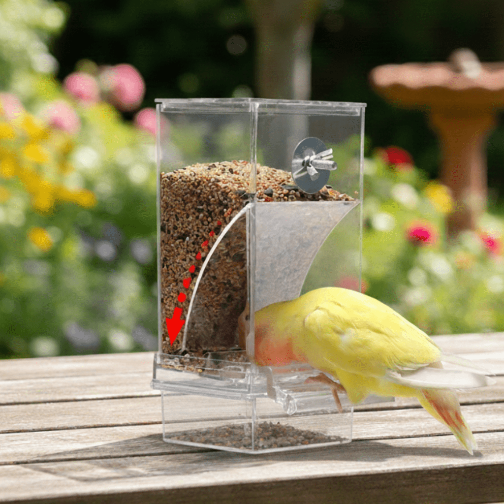 SpillNest automatische vogelvoederbak