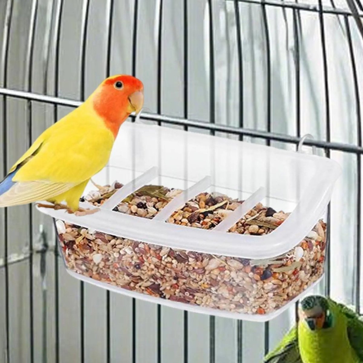 Eco-vriendelijke transparante vogelvoederbak